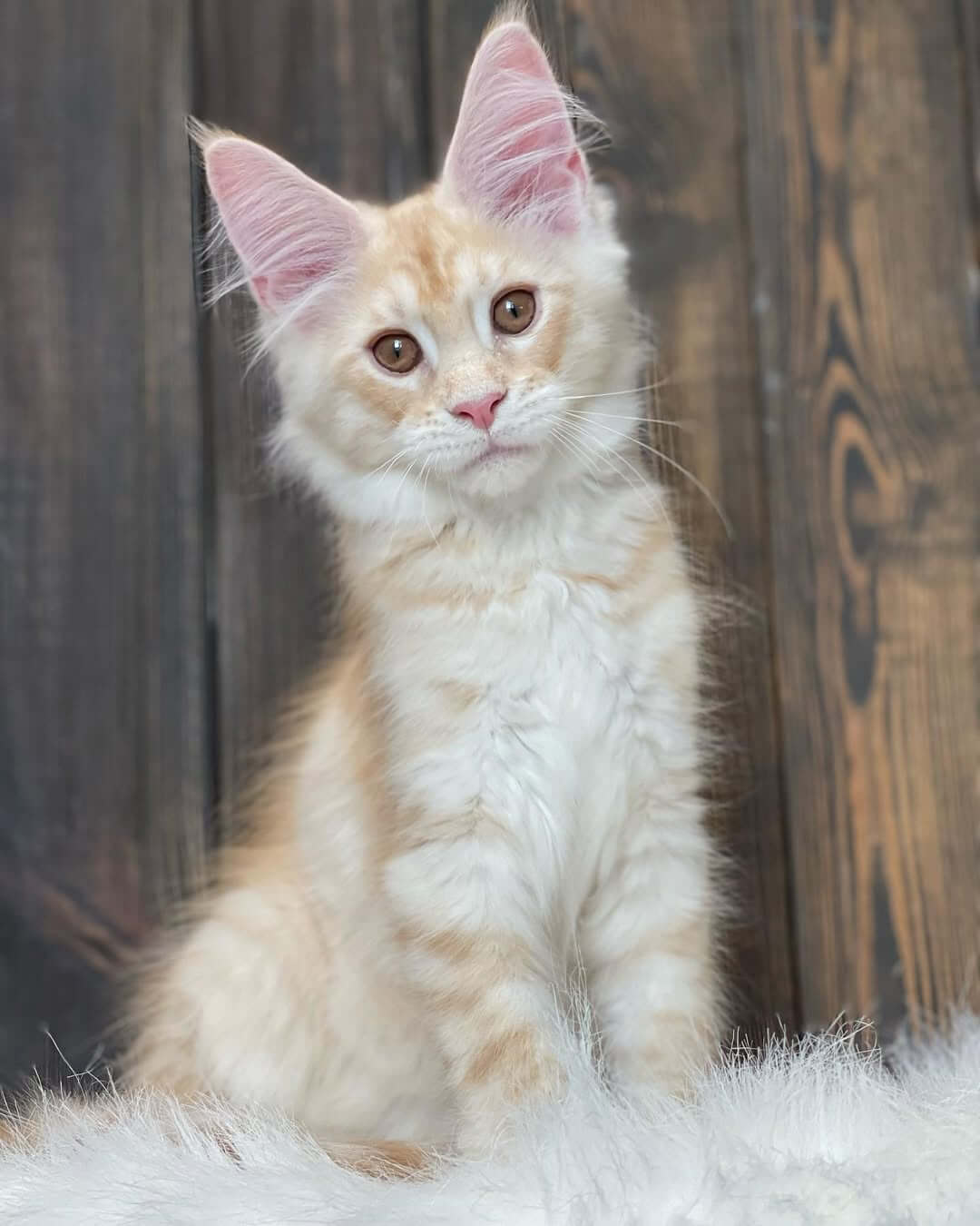 Max