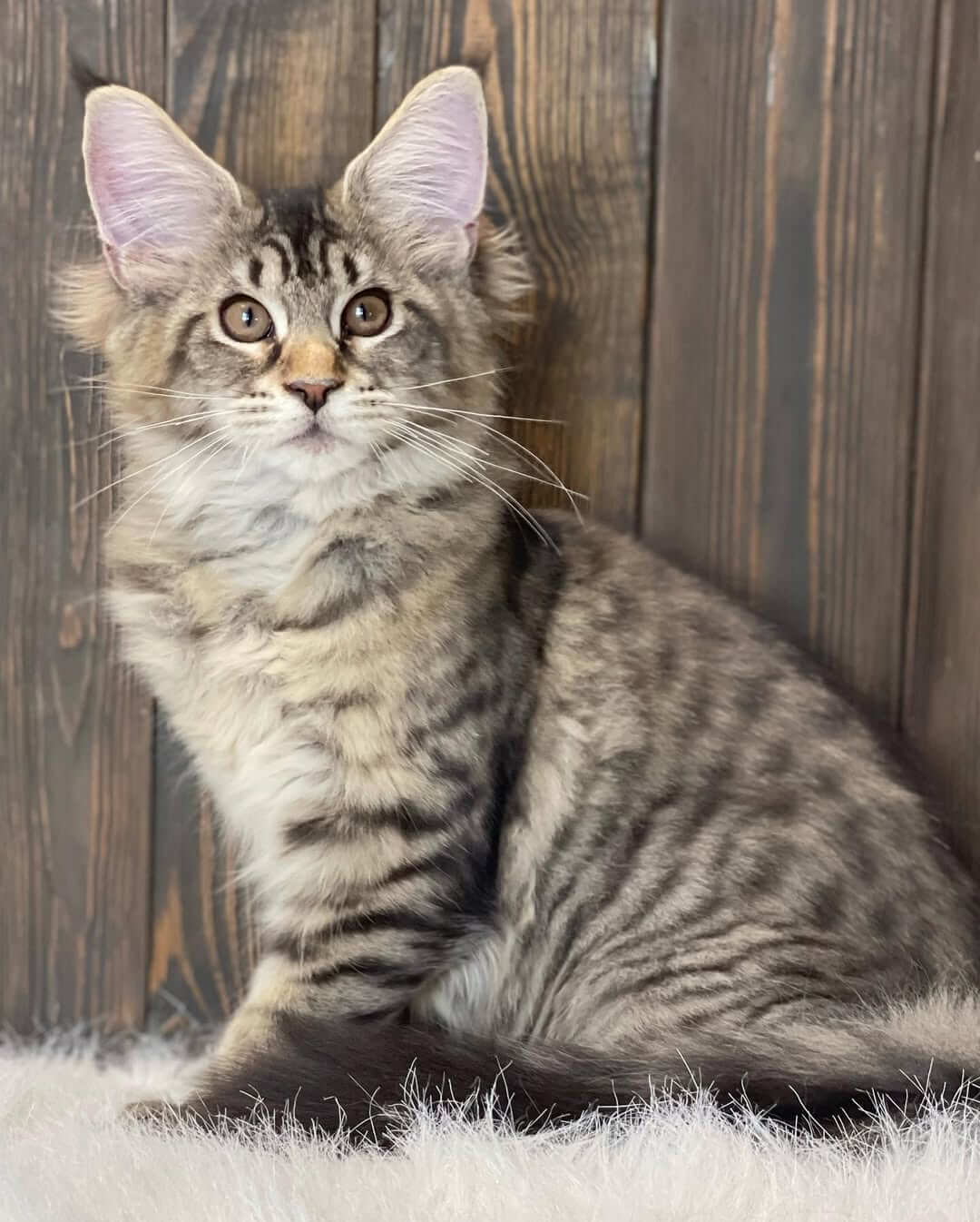 Oliver